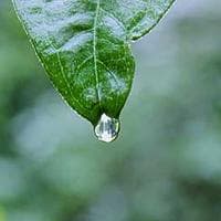 Water Resource Organisation